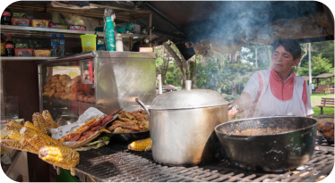 Mujer en su negocio de calle, cocinando en una parrilla