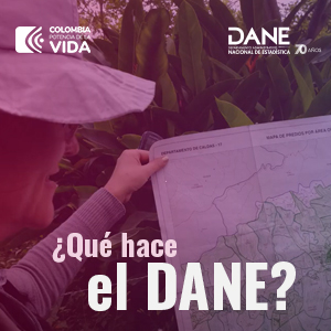 ¿Qué hace el DANE?